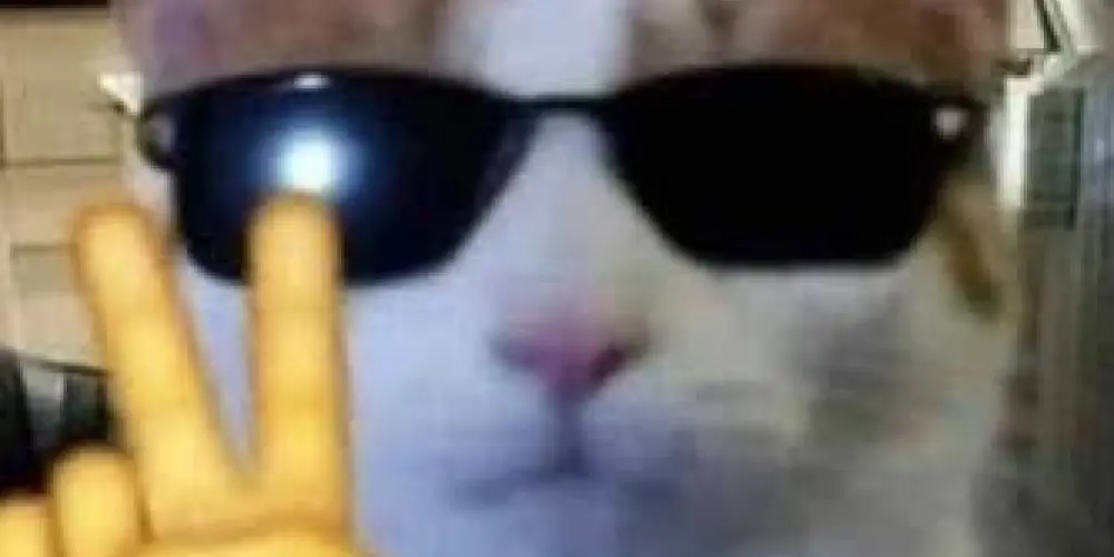 Imagem do grupo de WhatsApp Amigos em sintonia🌍💬