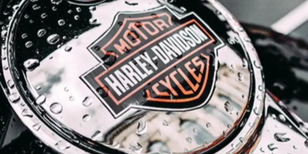 Imagem do grupo de WhatsApp Amigos Harley