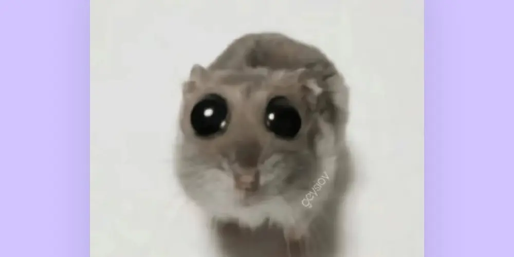 Imagem do grupo de WhatsApp Amigos on