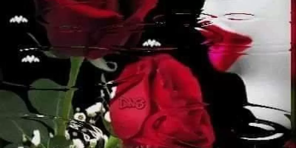 Imagem do grupo de WhatsApp Amigos para sempre🙏🏻🫶