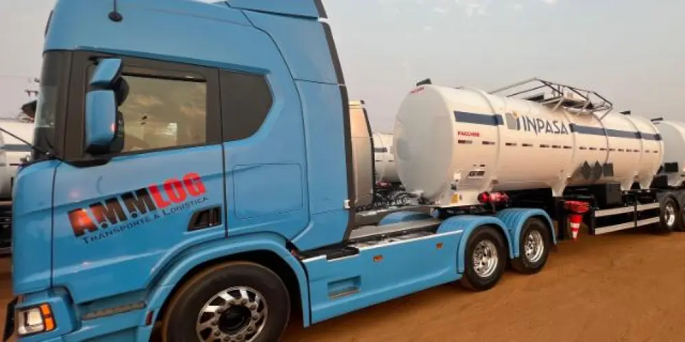 Imagem do grupo de WhatsApp Amigos Pelo Brasil a fora🇧🇷