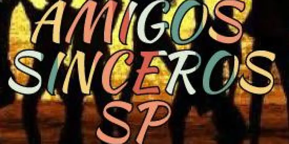 Imagem do grupo de WhatsApp AMIGOS SINCEROS SP