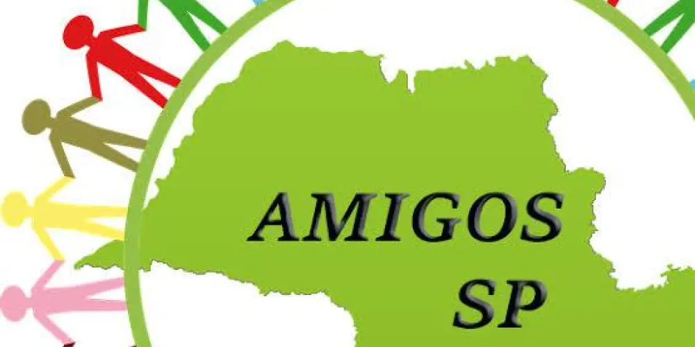 Imagem do grupo de WhatsApp *AMIGOS SP* 011<-->019