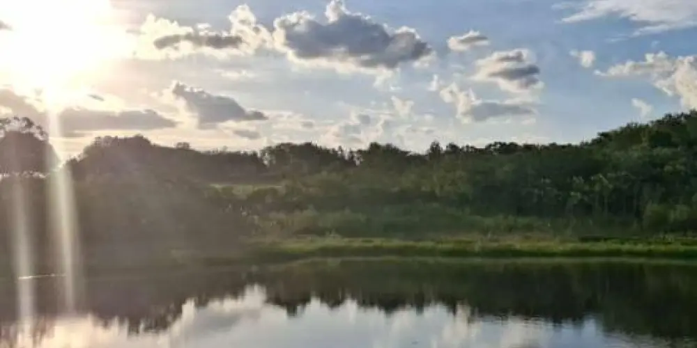 Imagem do grupo de WhatsApp Amigos team suculencia. 👦🏻🧑🏻👦🏻👩🏻🧑🏻👌