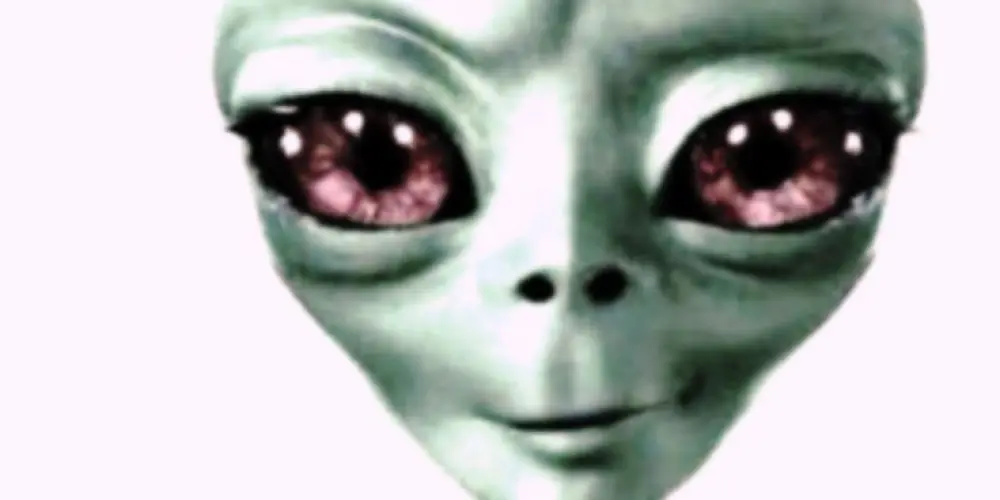 Imagem do grupo de WhatsApp amigos virtuais