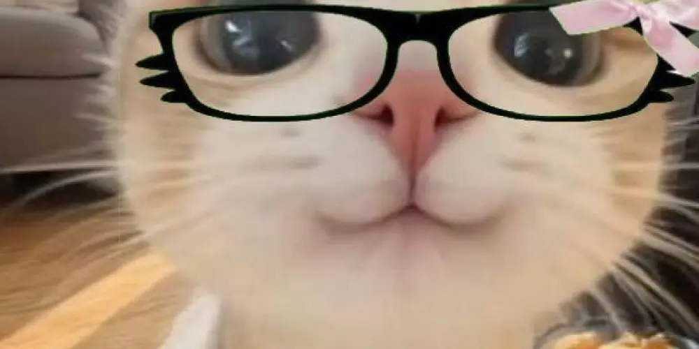 Imagem do grupo de WhatsApp Amigos virtuais.