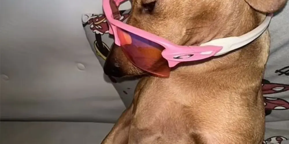 Imagem do grupo de WhatsApp AMIGOS WEB 🤞🏻