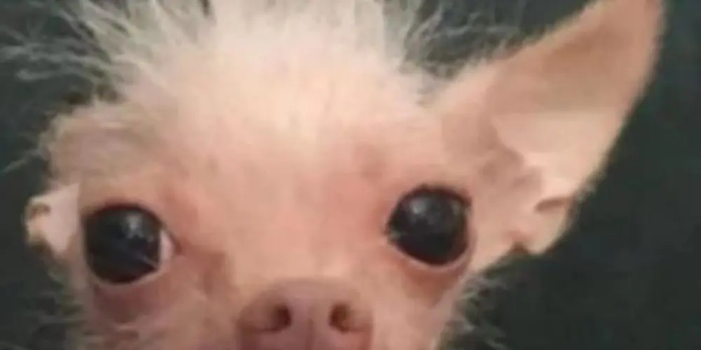 Imagem do grupo de WhatsApp AMIGOS/NAMORADOS 24HRS✅