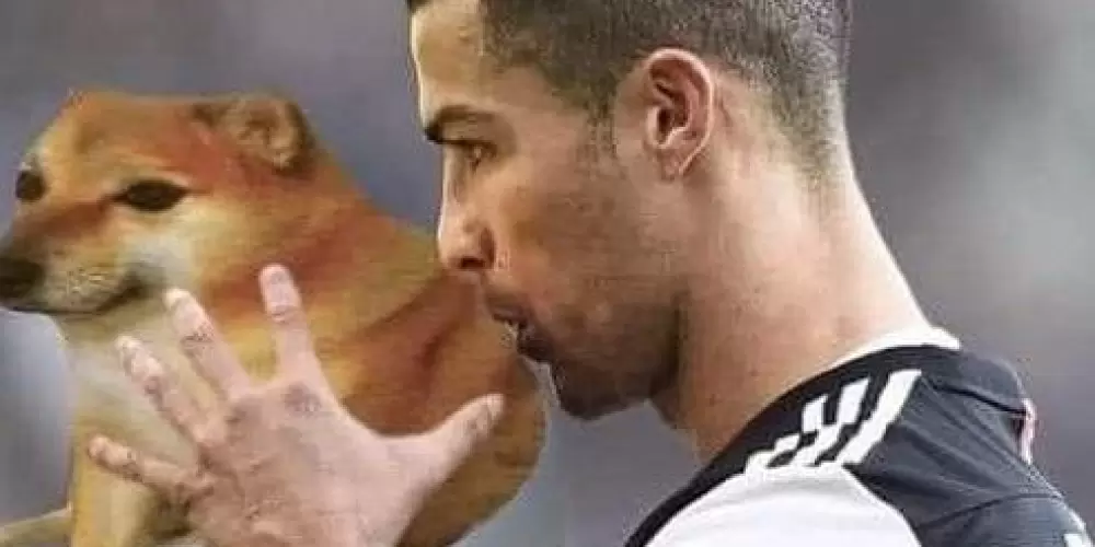 Imagem do grupo de WhatsApp Amigosss sem fim