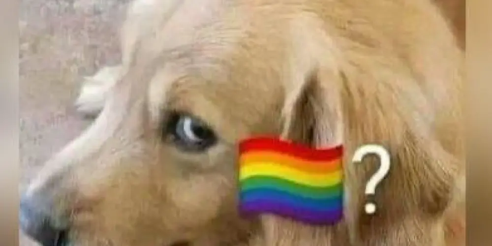 Imagem do grupo de WhatsApp Amigues