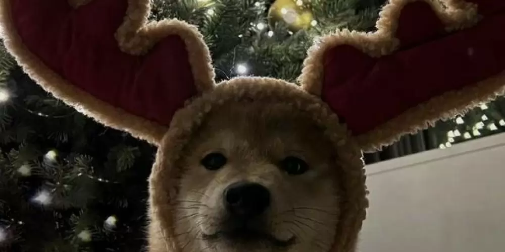 Imagem do grupo de WhatsApp Amiguinhos¯⁠\⁠_⁠(⁠ツ⁠)⁠_⁠/⁠¯