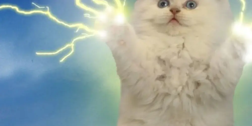 Imagem do grupo de WhatsApp Amiguinhos