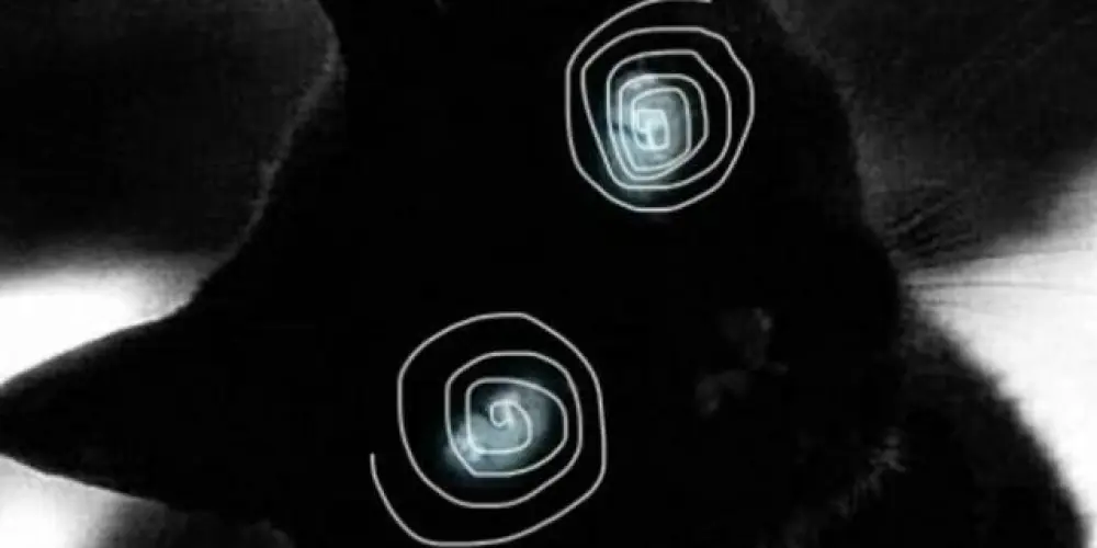 Imagem do grupo de WhatsApp Amiguinhos