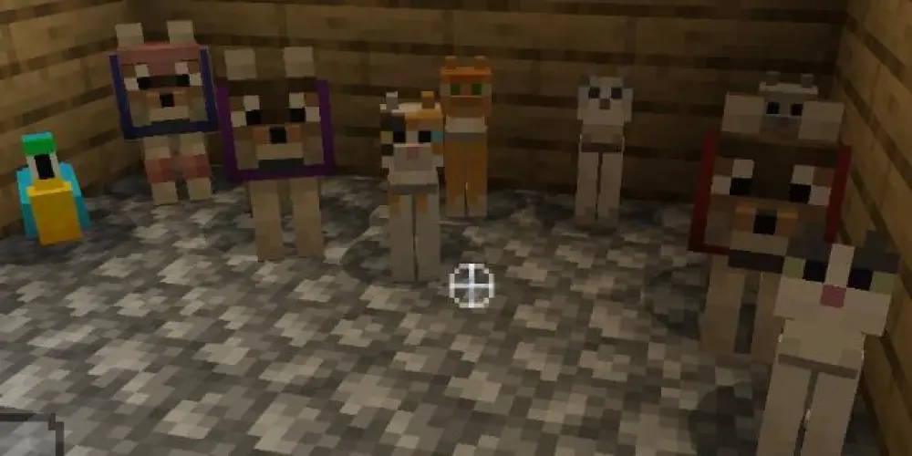 Imagem do grupo de WhatsApp Amiguinhos