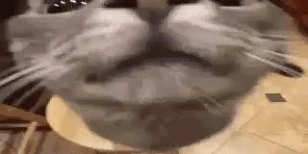 Imagem do grupo de WhatsApp Amiguinhos :D (não xinguem tem criancas no grupo;-;