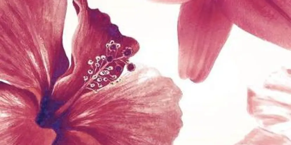 Imagem do grupo de WhatsApp ꧁⏤͟͟͞͞🌸amiguinhos(as)⏤͟͟͞͞🌸꧂