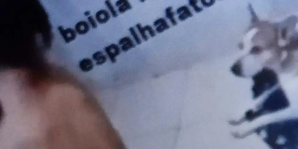 Imagem do grupo de WhatsApp Amiguitos 😝🫰- Bot Exclusivo