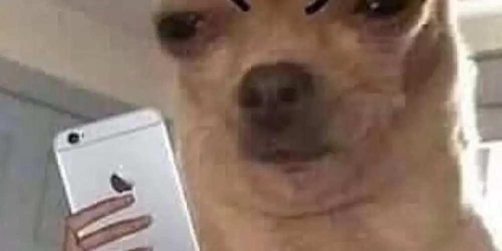 Imagem do grupo de WhatsApp ~Amiz4des em distância~ 🙃🌴