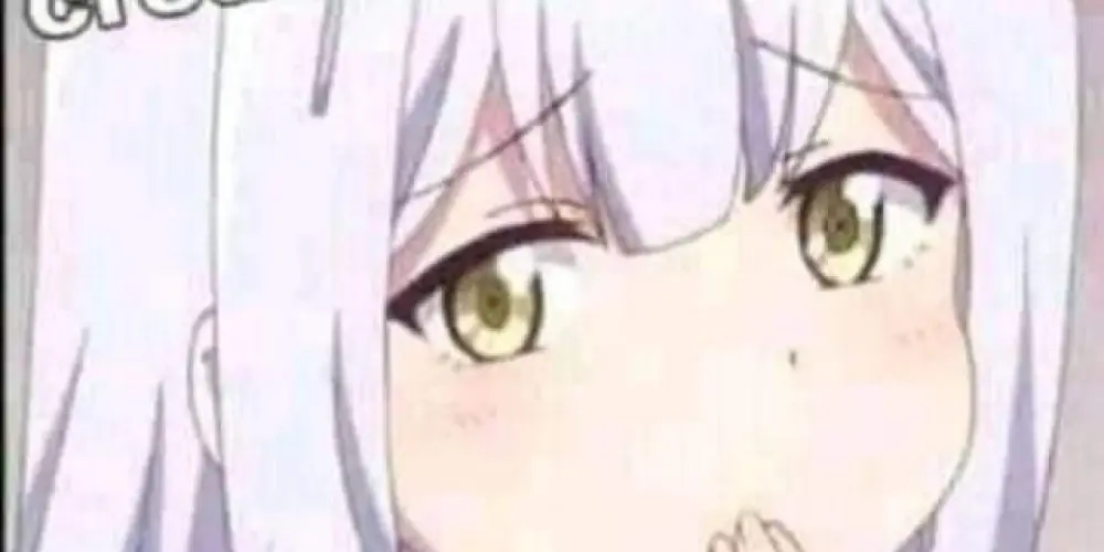 Imagem do grupo de WhatsApp Amizade 12 a 13