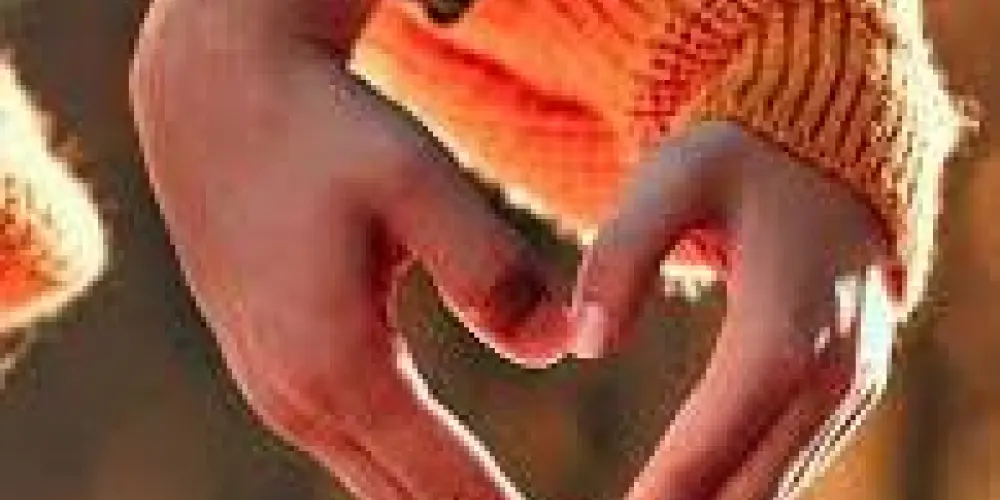 Imagem do grupo de WhatsApp Amizade 2.0