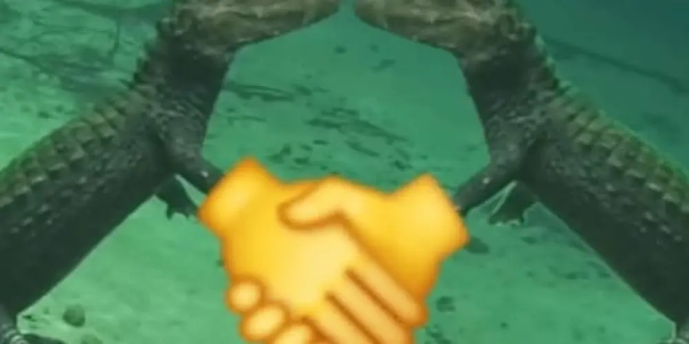 Imagem do grupo de WhatsApp Amizade 2.0