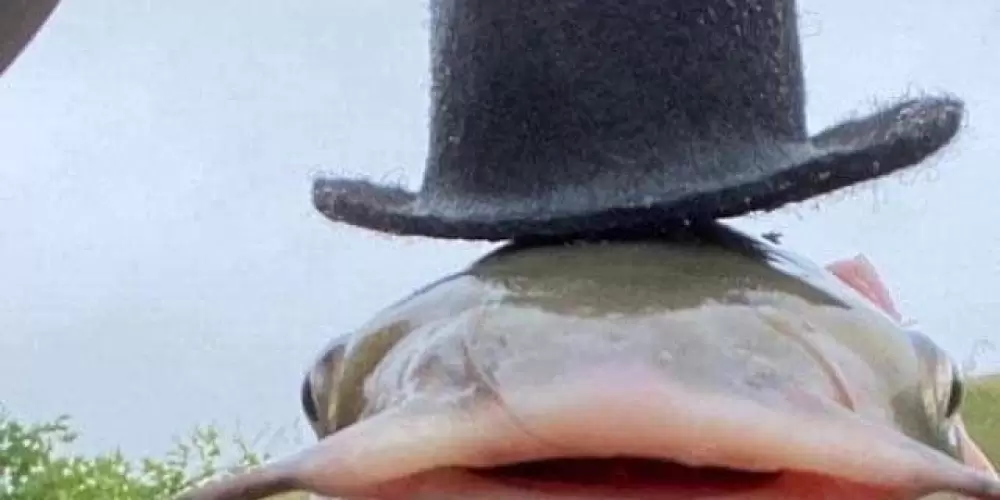 Imagem do grupo de WhatsApp Amizade💙