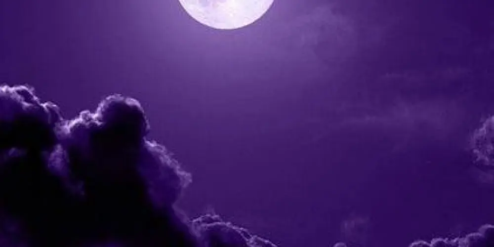 Imagem do grupo de WhatsApp Amizade 😸