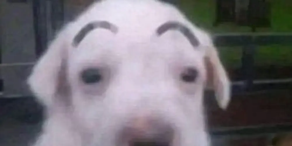 Imagem do grupo de WhatsApp Amizade𓅂