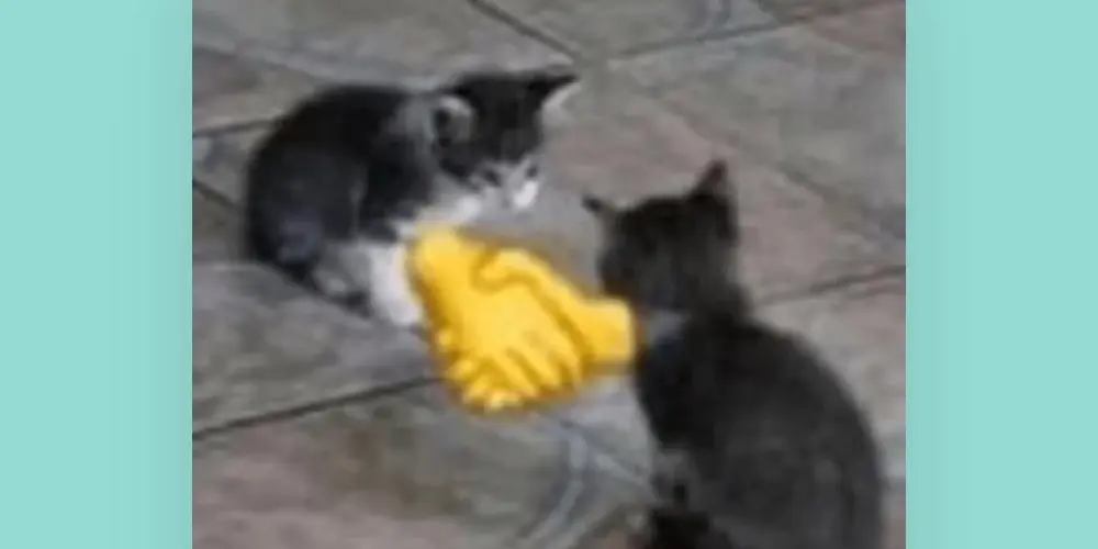 Imagem do grupo de WhatsApp Amizade