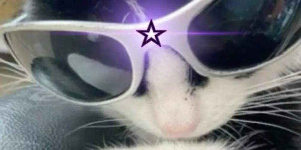 Imagem do grupo de WhatsApp AMIZADE ✌️