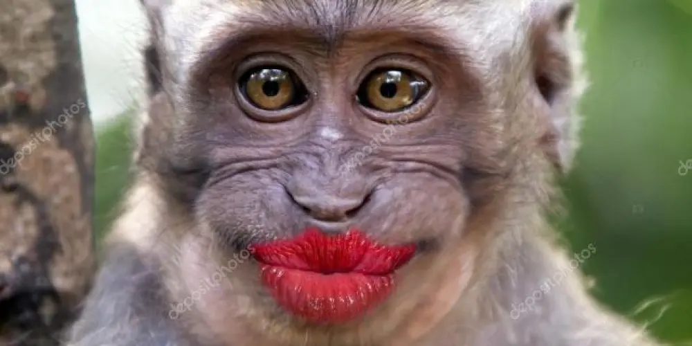 Imagem do grupo de WhatsApp Amizade ❤