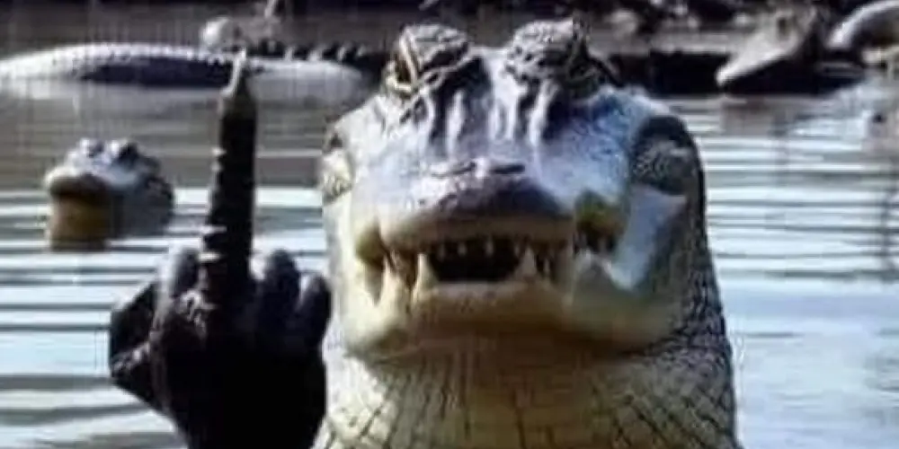 Imagem do grupo de WhatsApp Amizade