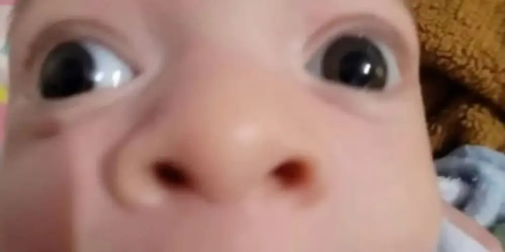 Imagem do grupo de WhatsApp Amizade