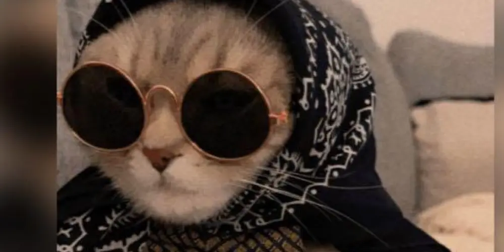 Imagem do grupo de WhatsApp Amizade❤️