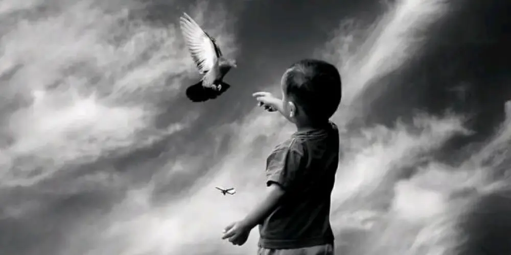 Imagem do grupo de WhatsApp Amizade