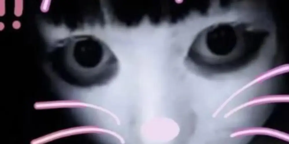 Imagem do grupo de WhatsApp 🔥 AMIZADE C0L0R1DA 🔥