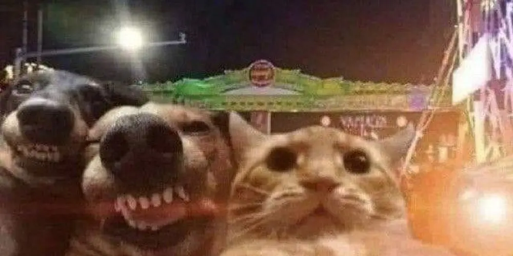 Imagem do grupo de WhatsApp Amizade com diferença