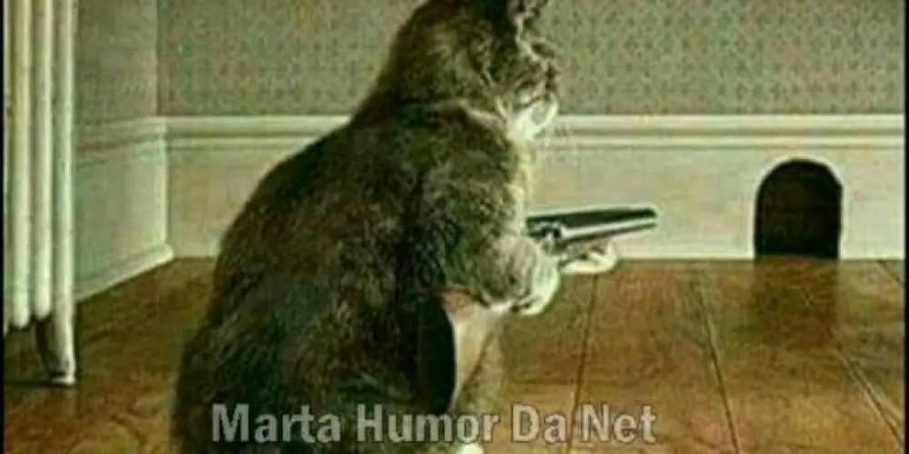 Imagem do grupo de WhatsApp 😵‍💫Amizade da doideira 3.0😵‍💫