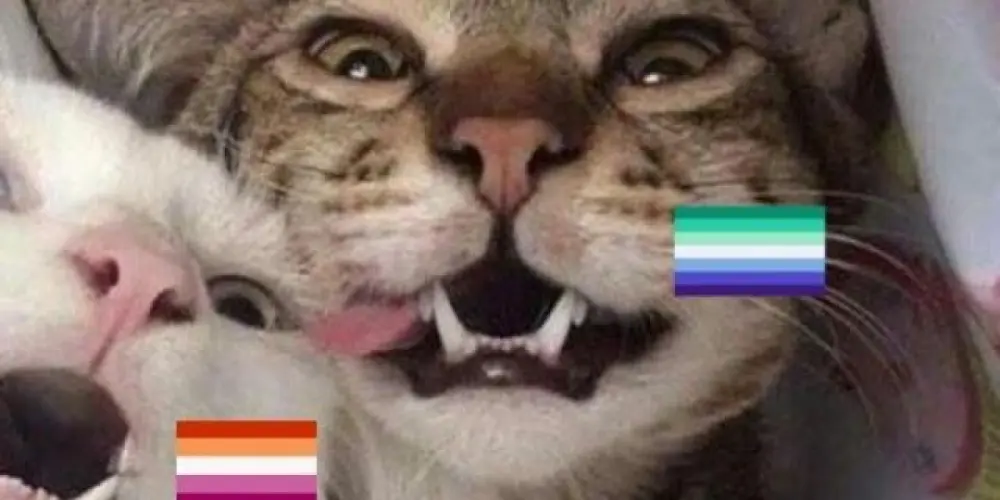 Imagem do grupo de WhatsApp Amizade de cores❤️🧡💛💜