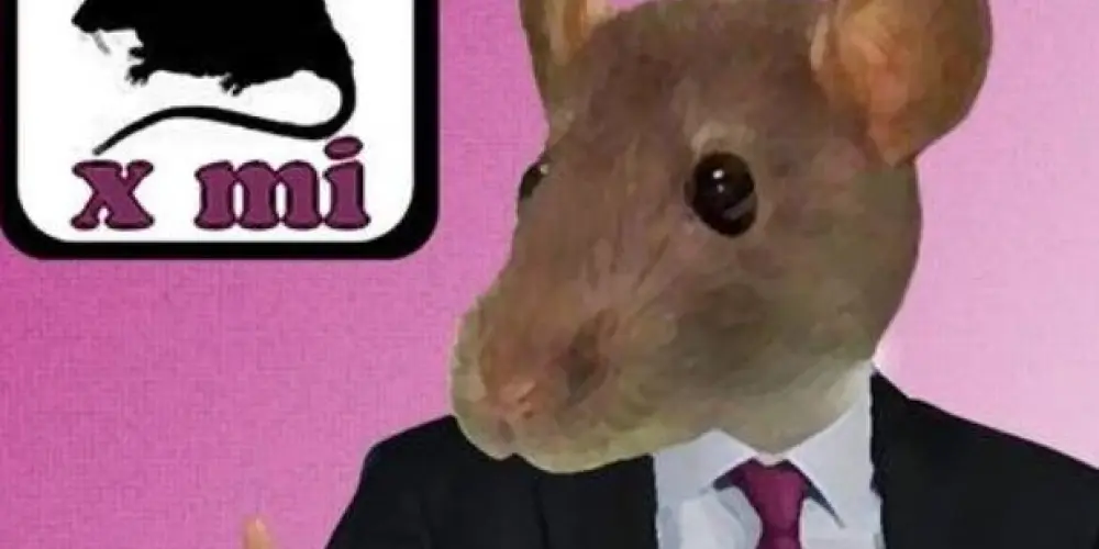 Imagem do grupo de WhatsApp 🐭🔰 Amizade de rato com Rata 🦎🐔