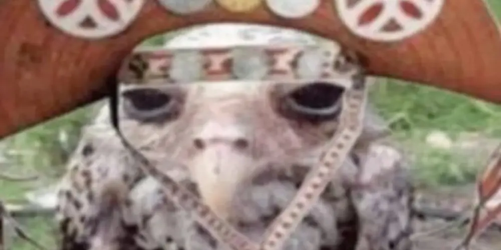 Imagem do grupo de WhatsApp Amizade do Sudeste