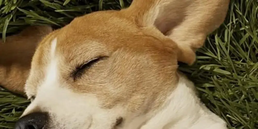 Imagem do grupo de WhatsApp Amizade e Café - 🇵🇹🇧🇷📍