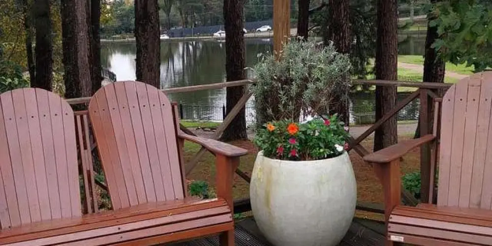 Imagem do grupo de WhatsApp Amizade e é isso