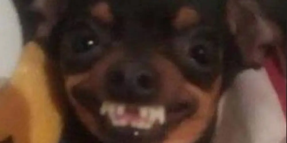 Imagem do grupo de WhatsApp amizade e etc