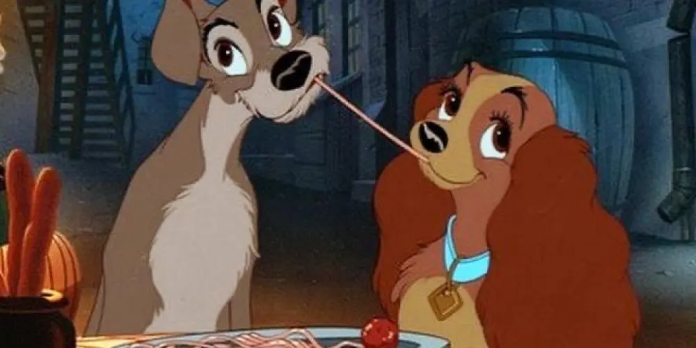 Imagem do grupo de WhatsApp AMIZADE E NAMORO❤️