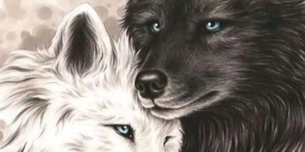 Imagem do grupo de WhatsApp AMIZADE E NAMORO😚❤️