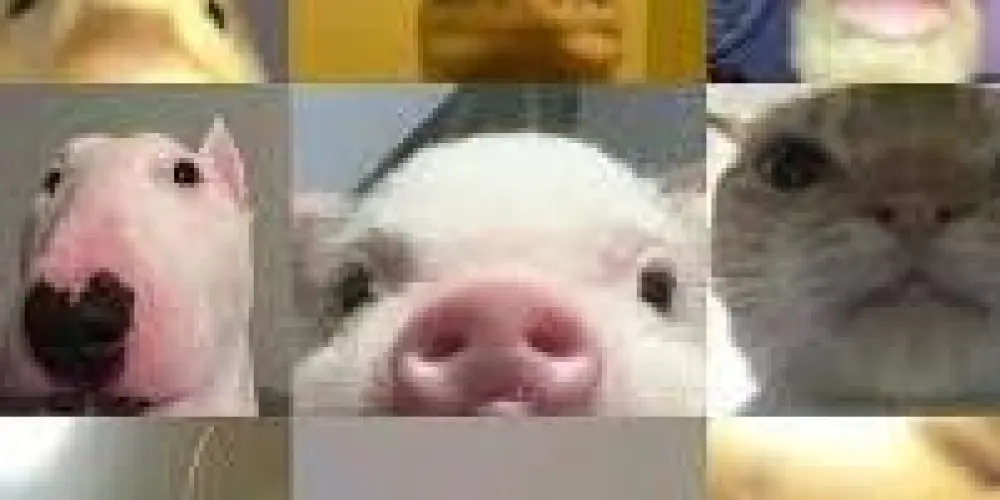 Imagem do grupo de WhatsApp Amizade-é-namoro🔞☣️