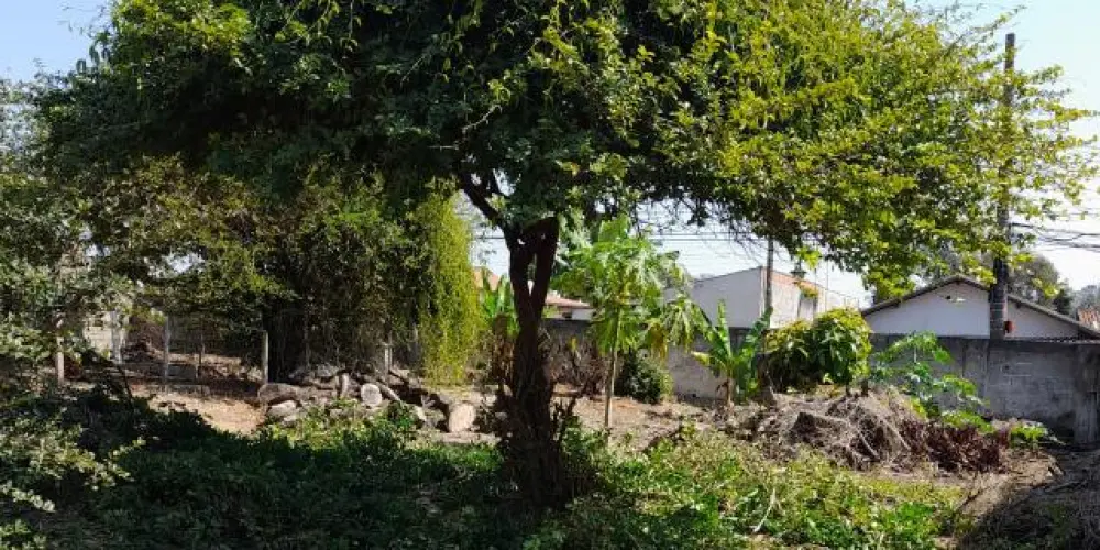 Imagem do grupo de WhatsApp Amizade e Namoro em Guarulhos