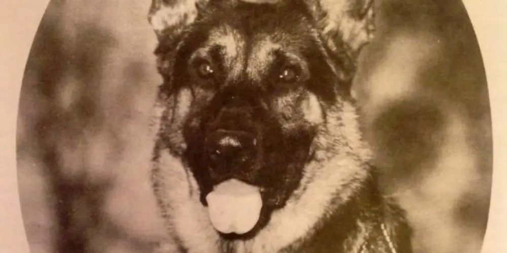 Imagem do grupo de WhatsApp Amizade e passa tempo.