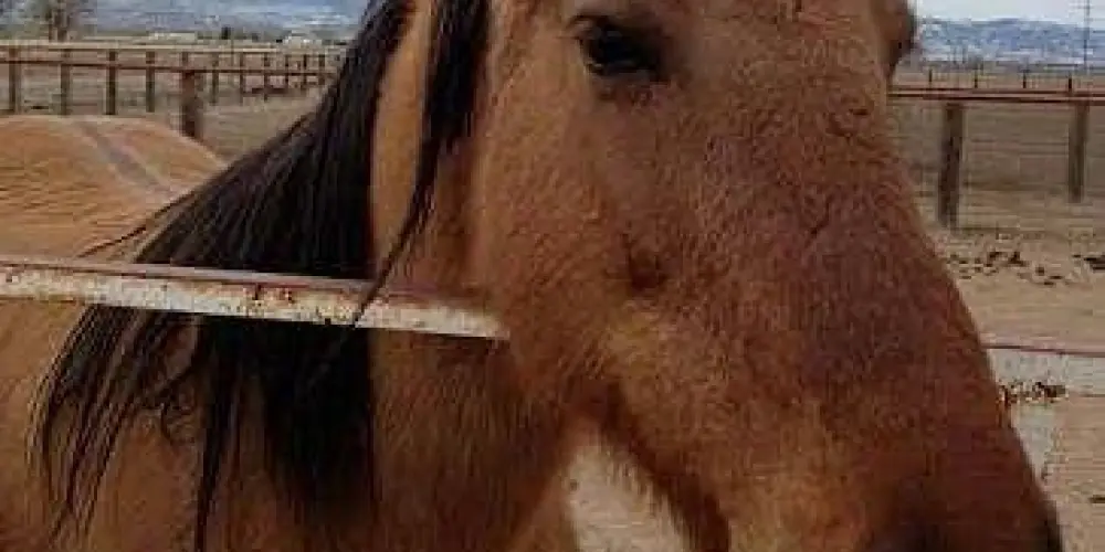 Imagem do grupo de WhatsApp 😈😈🔥AMIZADE E RELAÇÃO 🔥😈😈